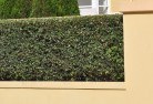 Acton ACThard-landscaping-surfaces-8.jpg; ?>