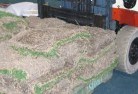 Acton ACTlawn-and-turf-11.jpg; ?>