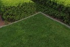Acton ACTlawn-and-turf-12.jpg; ?>