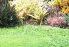 Acton ACTlawn-and-turf-15.jpg; ?>