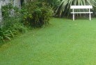 Acton ACTlawn-and-turf-2.jpg; ?>