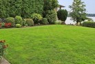 Acton ACTlawn-and-turf-33.jpg; ?>