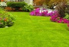 Acton ACTlawn-and-turf-35.jpg; ?>
